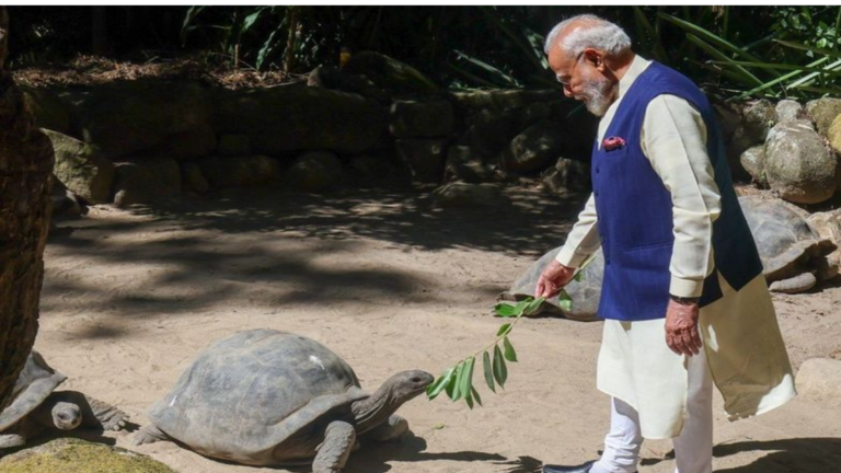 1832 में हुआ था जन्म! 194 साल के कछुए ‘जोनाथन’ से मिले पीएम मोदी, दुनिया रह गई हैरान